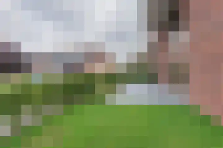 Elektra 37 Nijkerk thumbnail 22