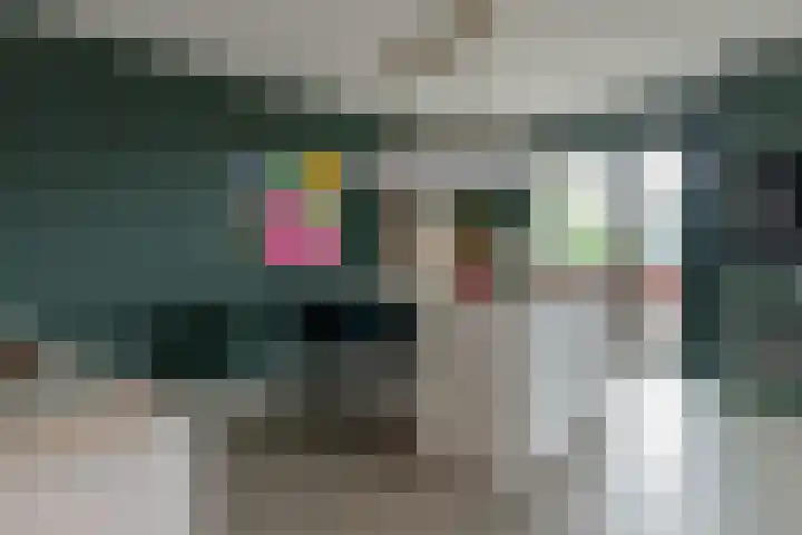 Elektra 37 Nijkerk thumbnail 6