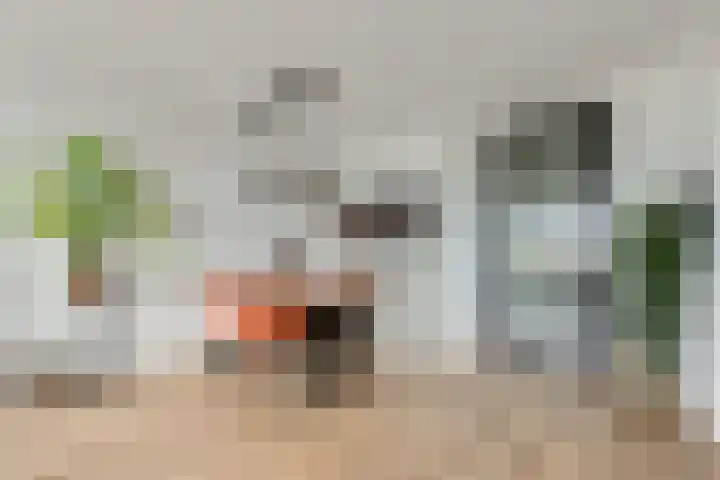 Elektroweg 206 Rotterdam thumbnail 17