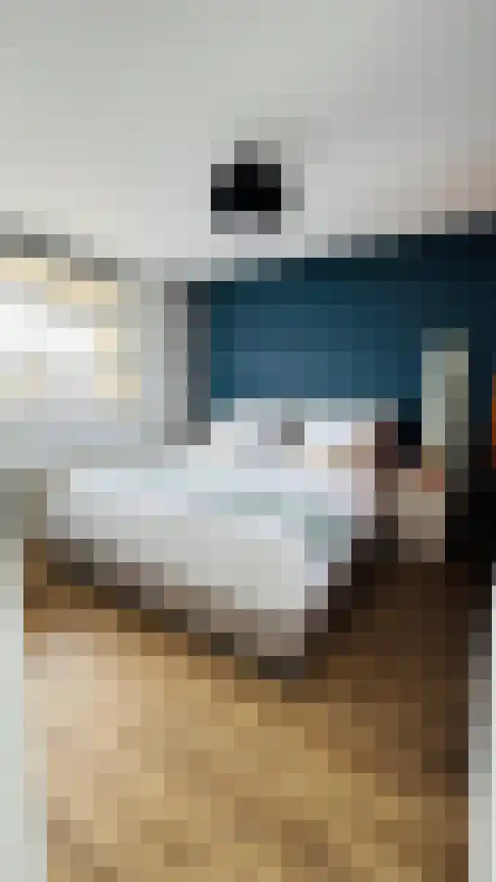 Elektroweg 206 Rotterdam thumbnail 24