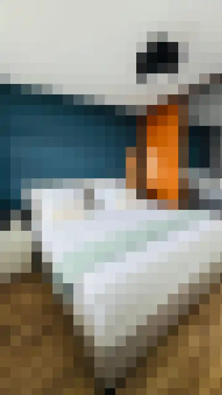 Elektroweg 206 Rotterdam thumbnail 25