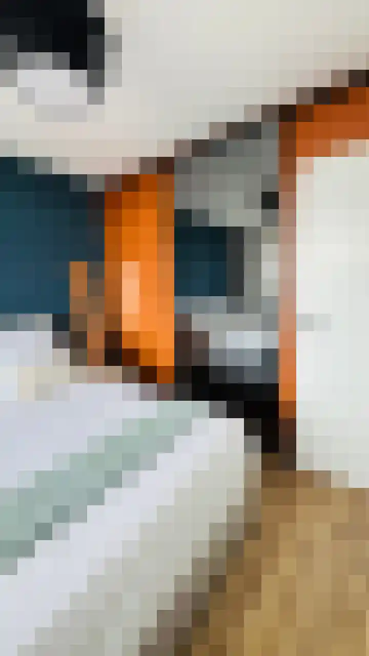 Elektroweg 206 Rotterdam thumbnail 26