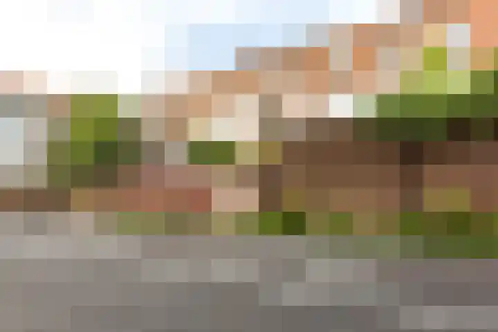 Elektroweg 206 Rotterdam thumbnail 42