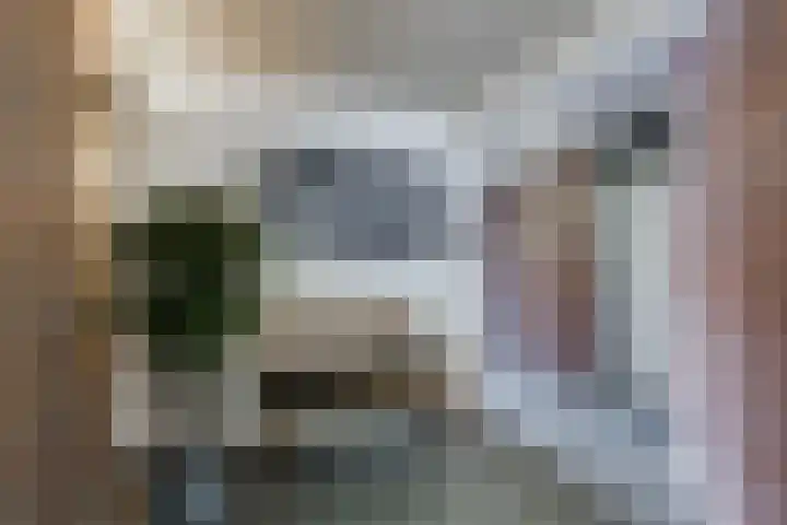 Elektroweg 206 Rotterdam thumbnail 7