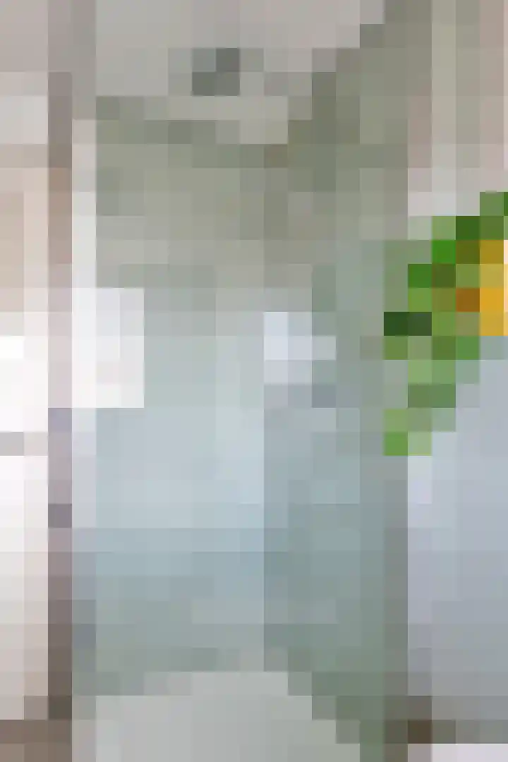 Elektroweg 242 Rotterdam thumbnail 33