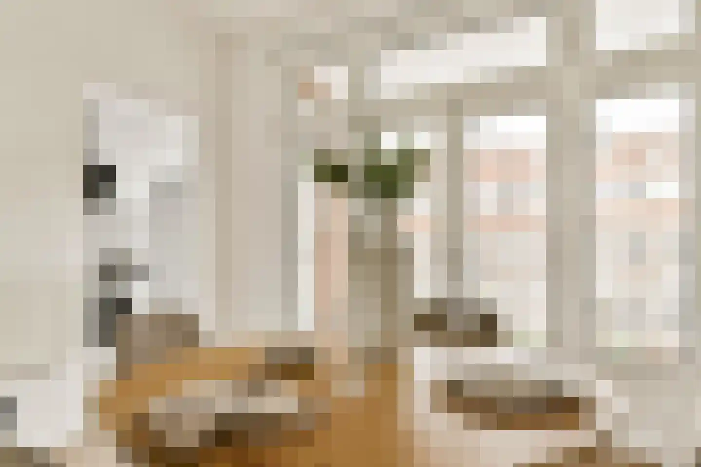 Elektroweg 268 Rotterdam thumbnail 13