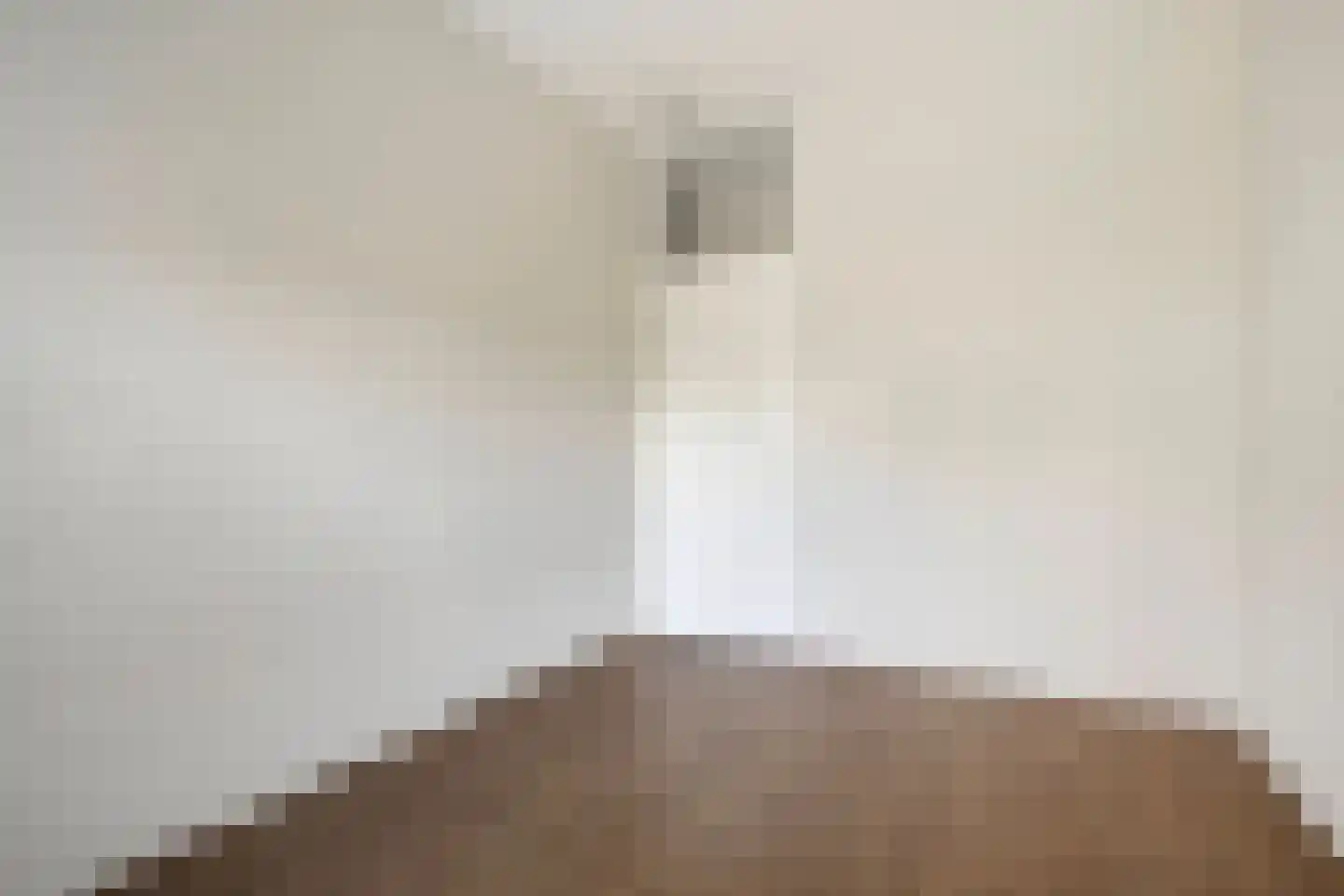 Elemastraat 43 Nieuw-Vennep thumbnail 19