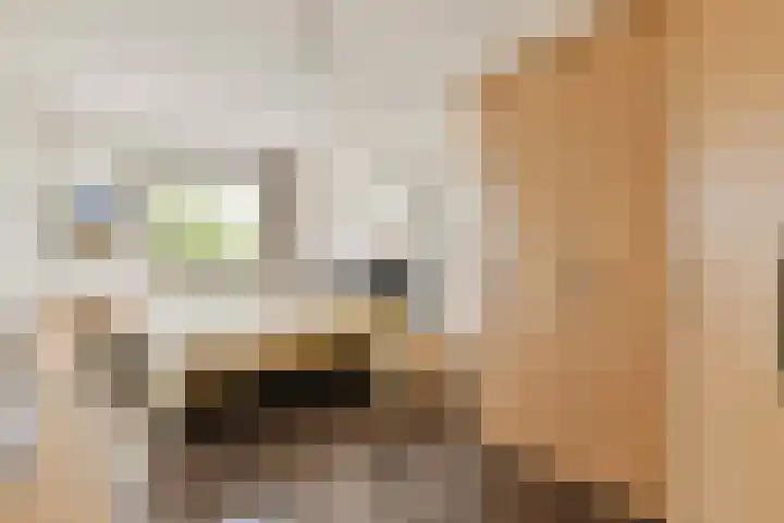 Elemastraat 69 Nieuw-Vennep thumbnail 11
