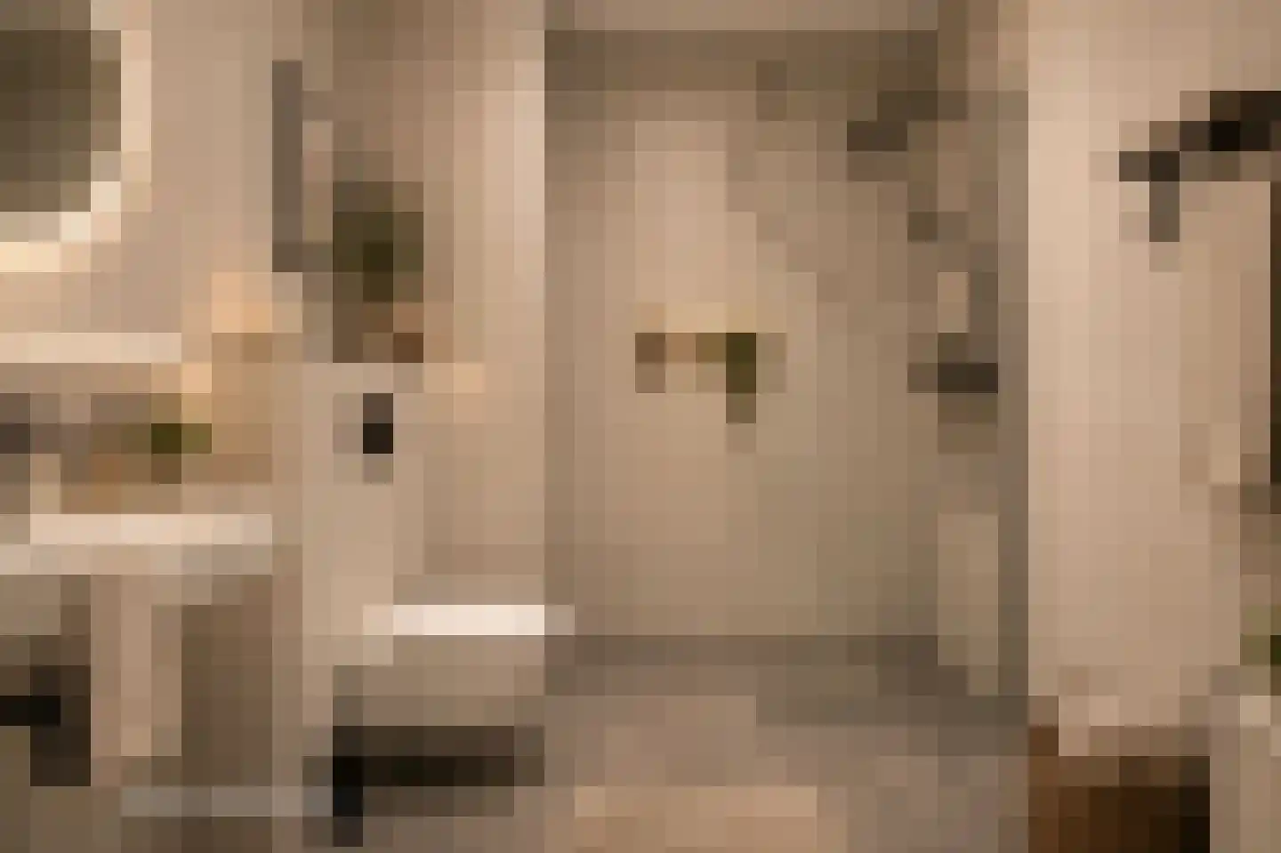 Elemastraat 97 Nieuw-Vennep thumbnail 22