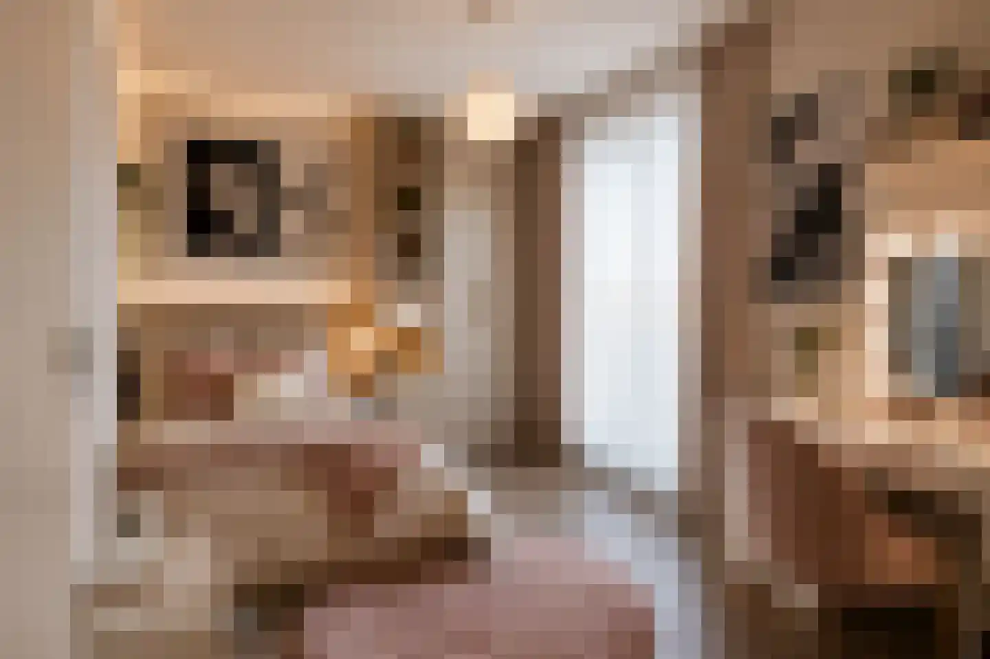 Elemastraat 97 Nieuw-Vennep thumbnail 27