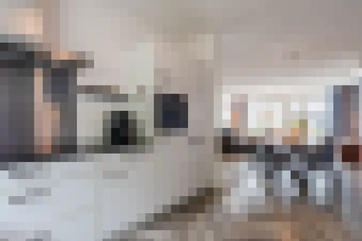 Elementen 26 Zeewolde thumbnail 12