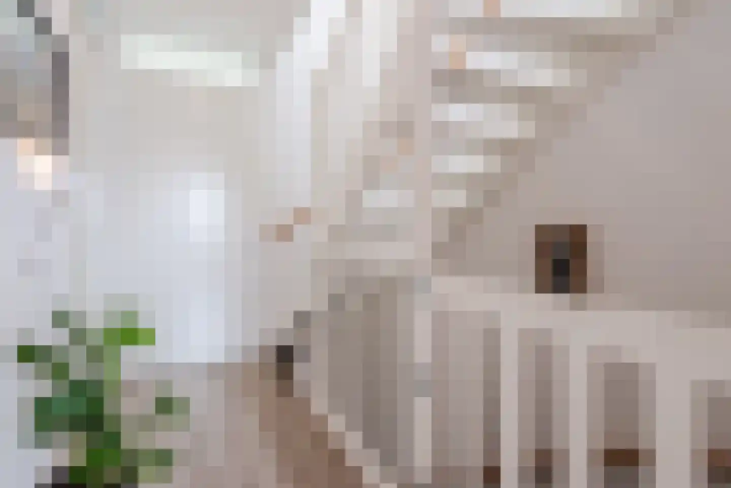 Elementen 26 Zeewolde thumbnail 22