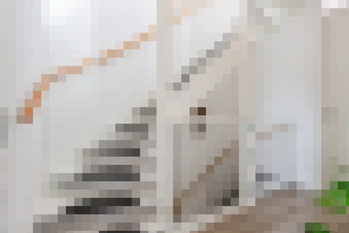 Elementen 26 Zeewolde thumbnail 33