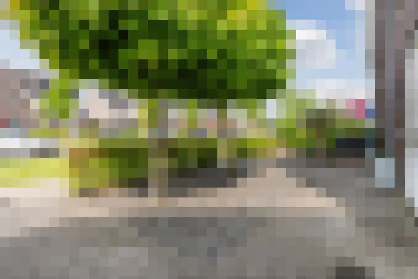 Elementen 26 Zeewolde thumbnail 52