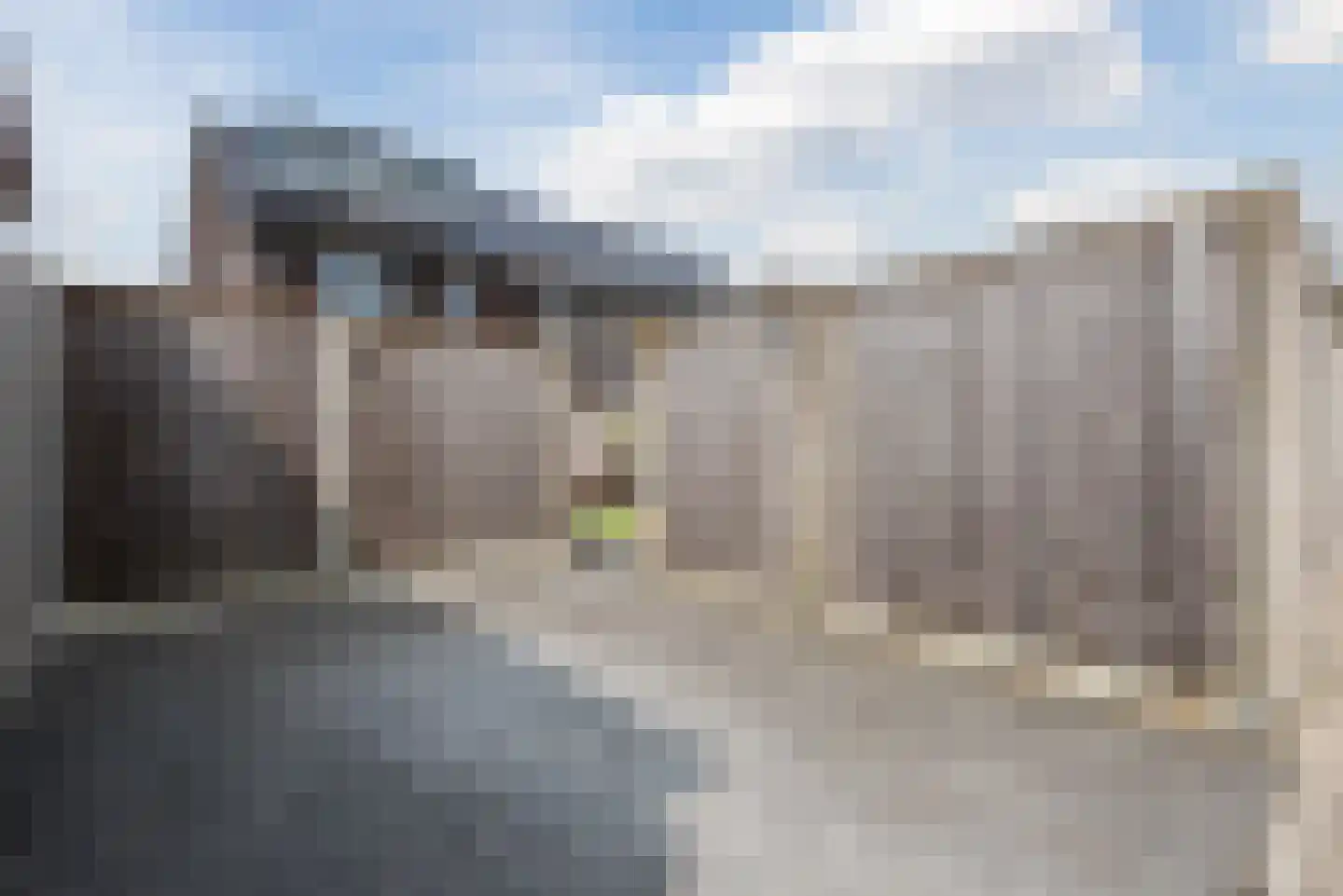 Elementen 26 Zeewolde thumbnail 54