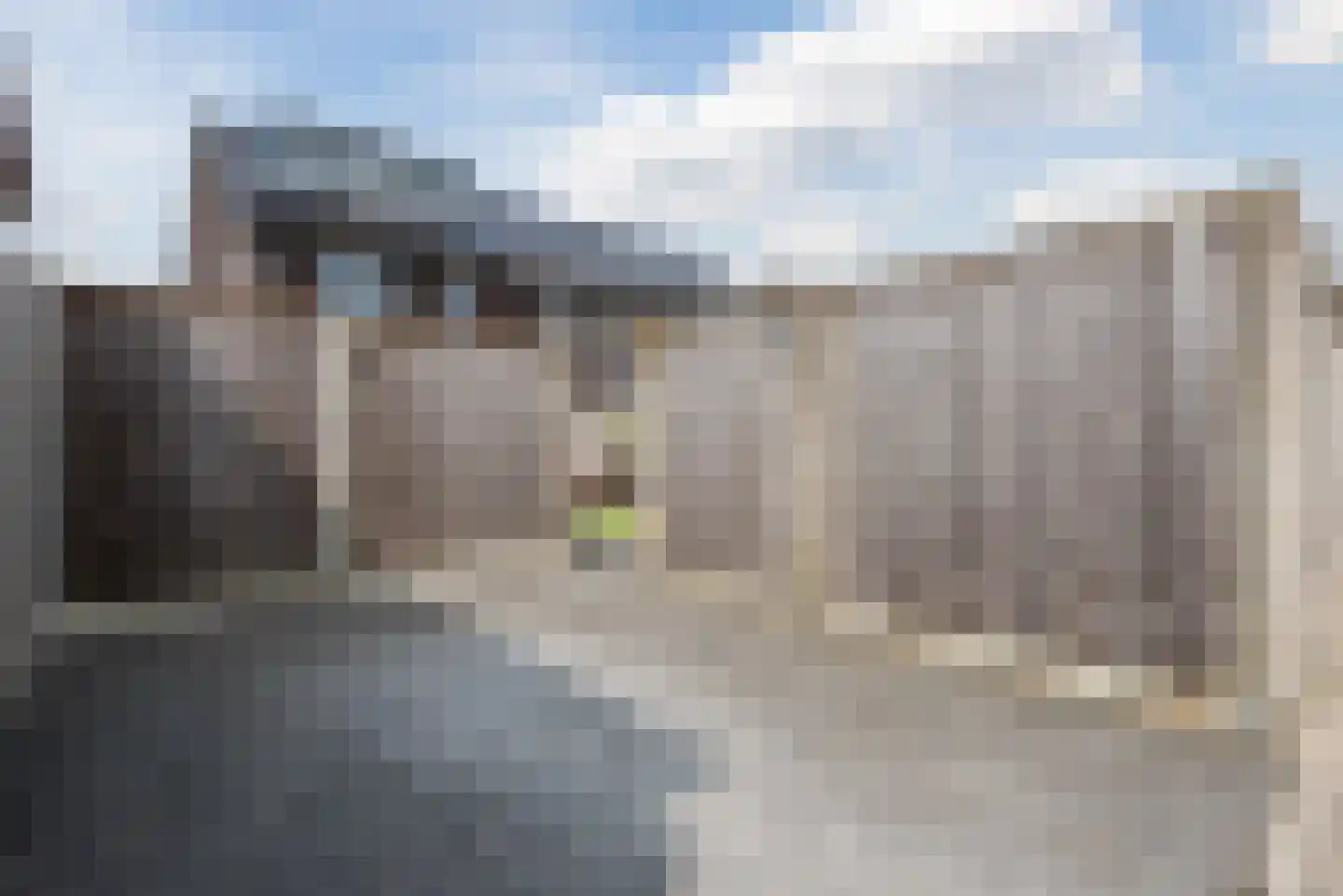 Elementen 26 Zeewolde thumbnail 56