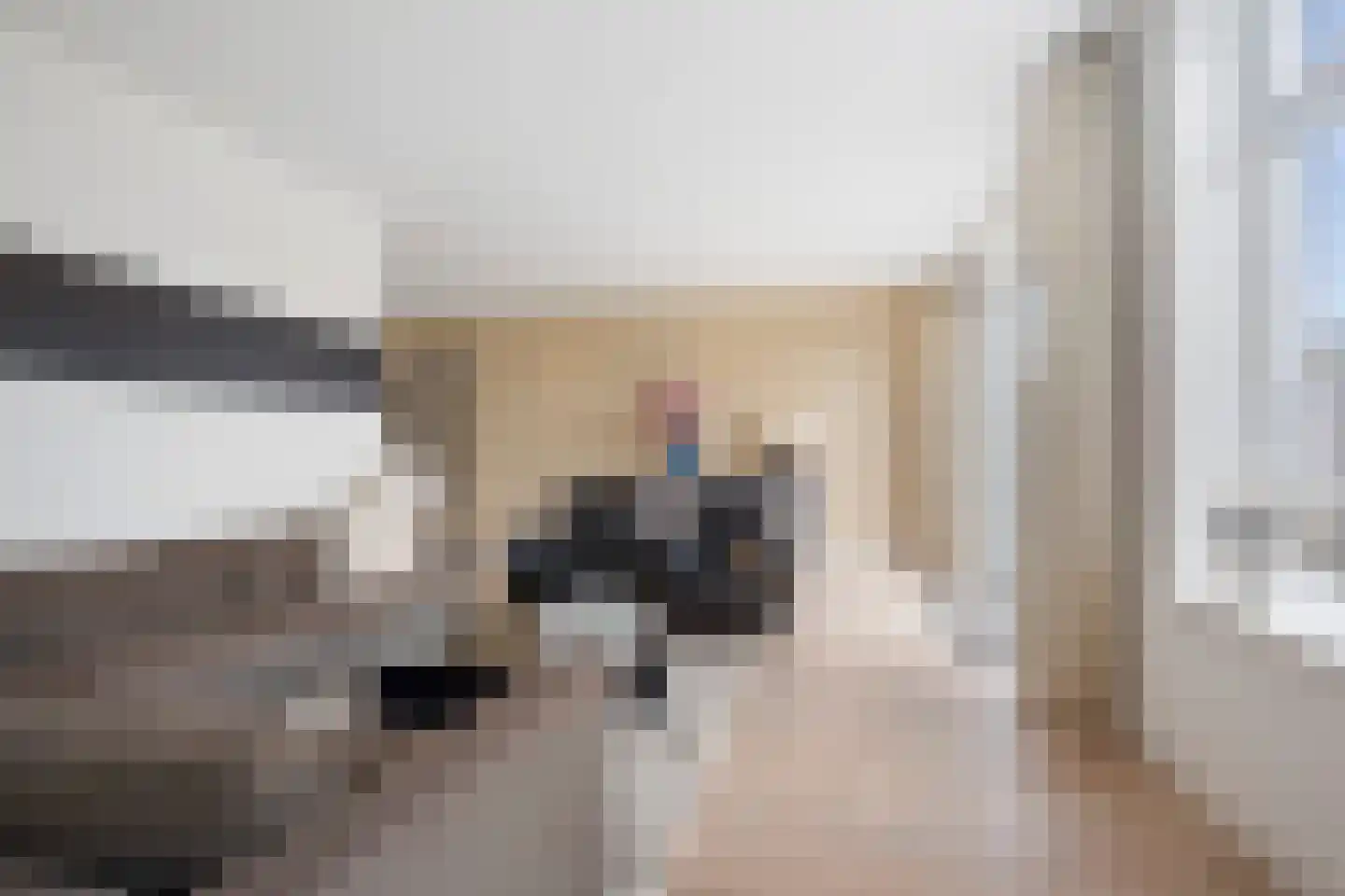 Elementen 38 Zeewolde thumbnail 17