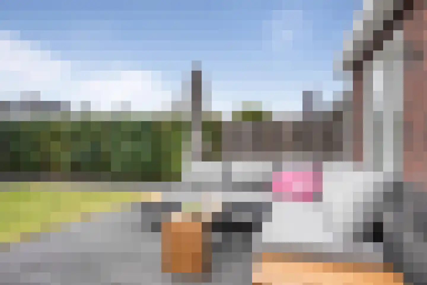 Elementen 38 Zeewolde thumbnail 35