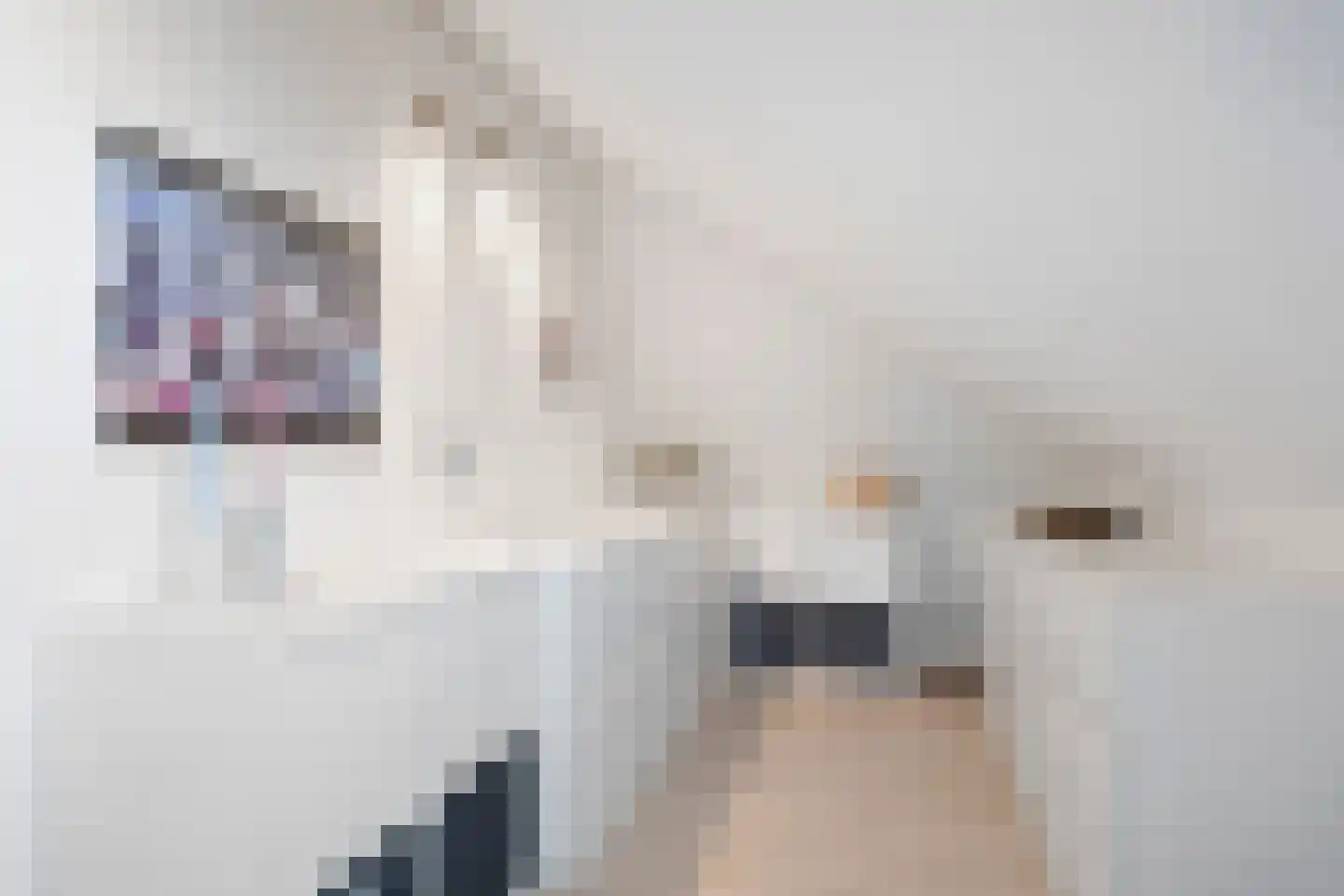Elementen 38 Zeewolde thumbnail 59