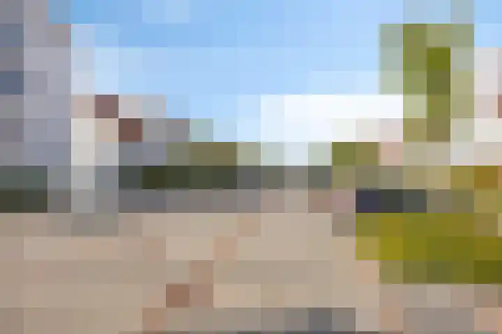 Elementen 58 Zeewolde thumbnail 33