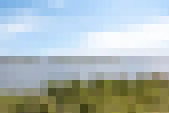 Elementen 58 Zeewolde thumbnail 34