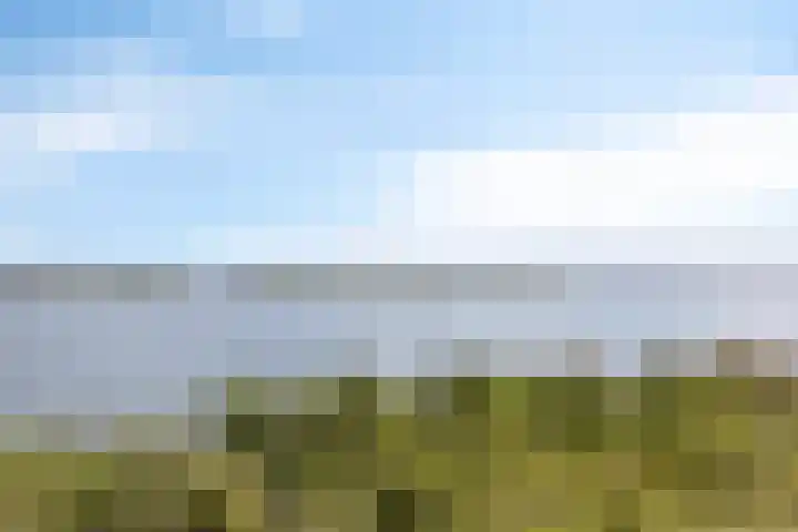 Elementen 58 Zeewolde thumbnail 7