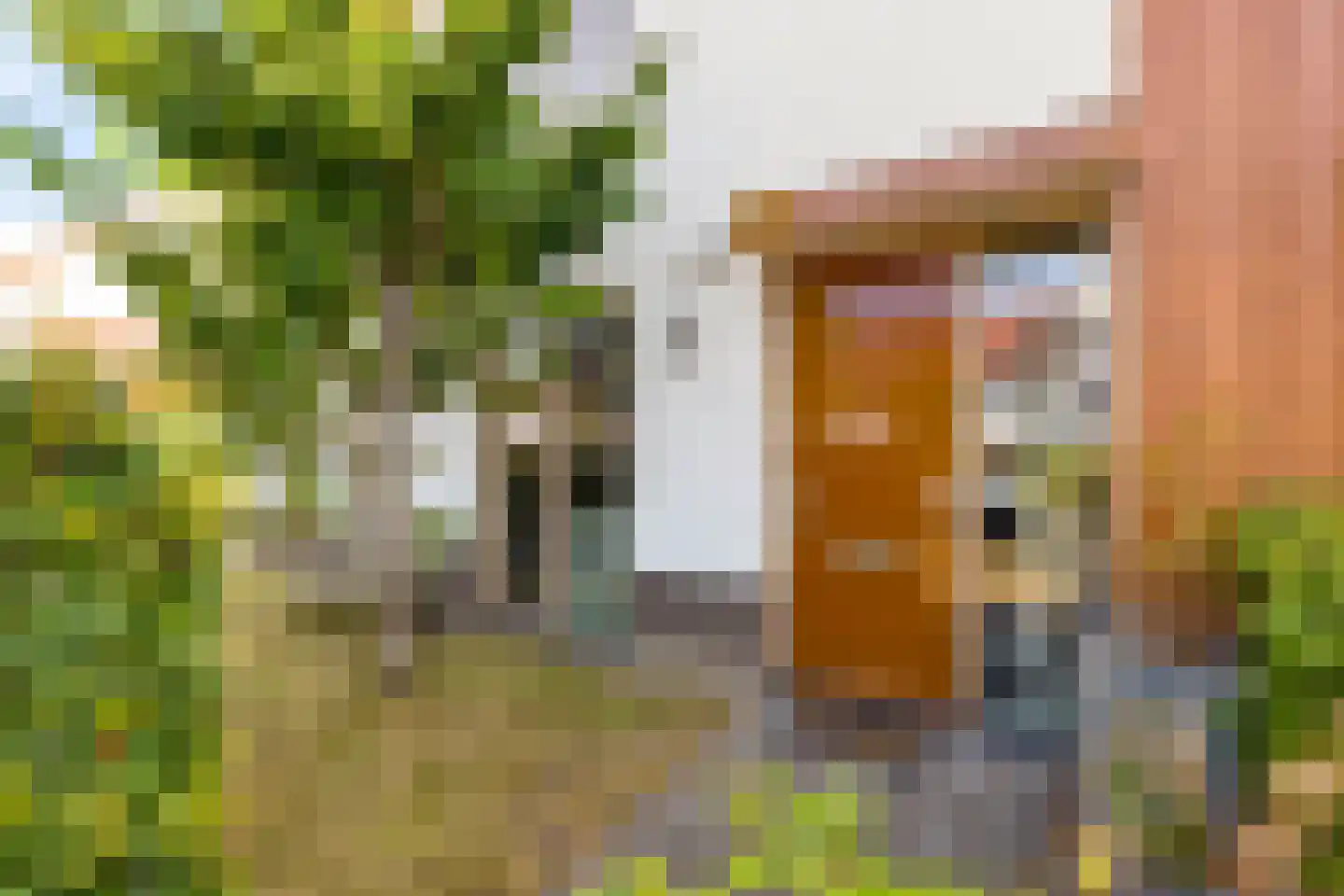 Elementen 68 Zeewolde thumbnail 11
