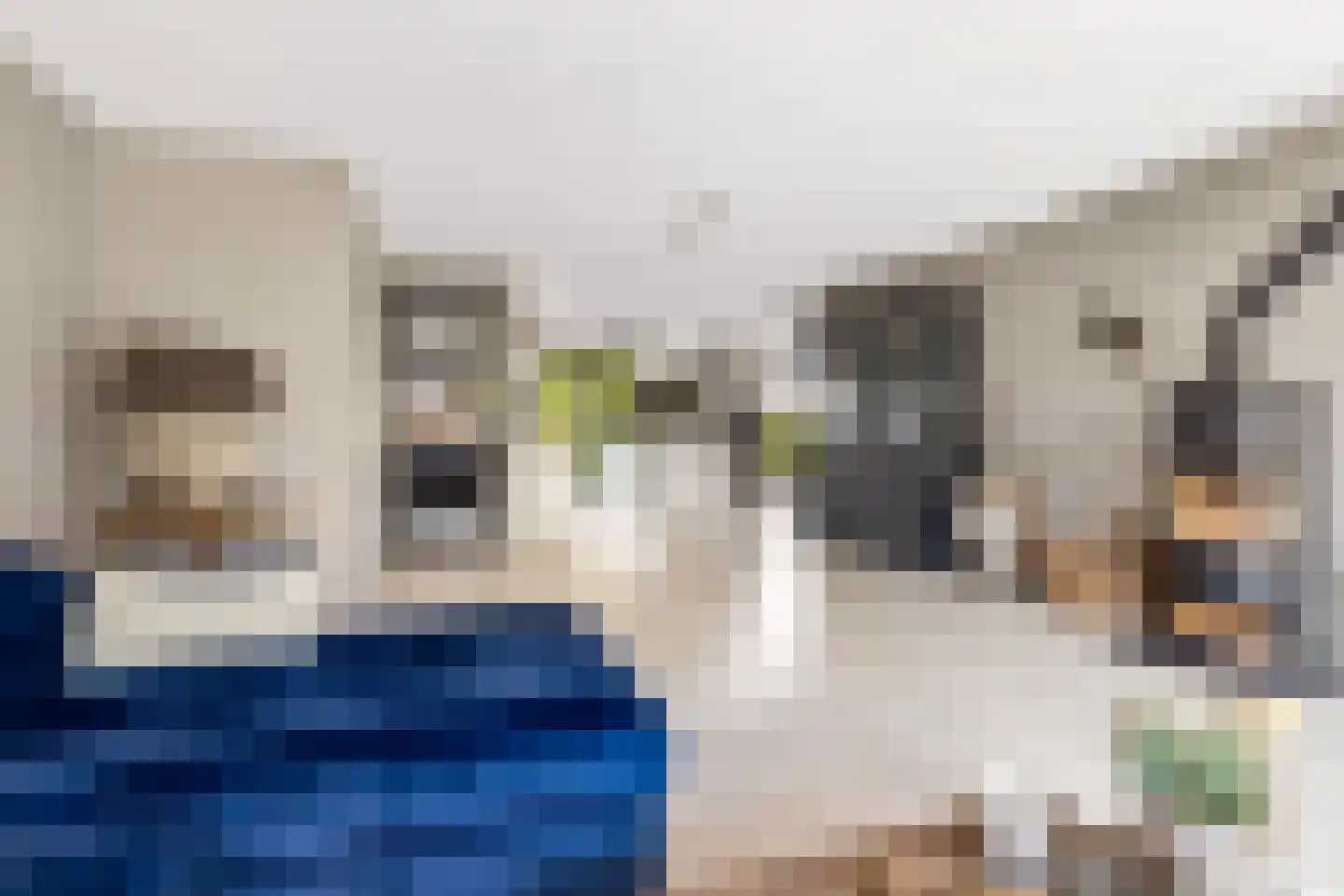 Elementen 68 Zeewolde thumbnail 18