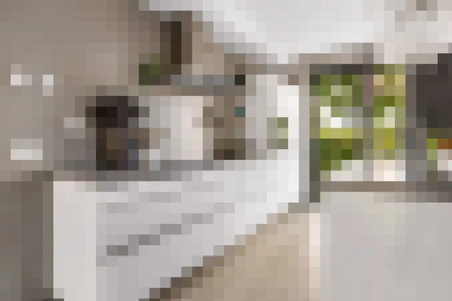 Elementen 68 Zeewolde thumbnail 24