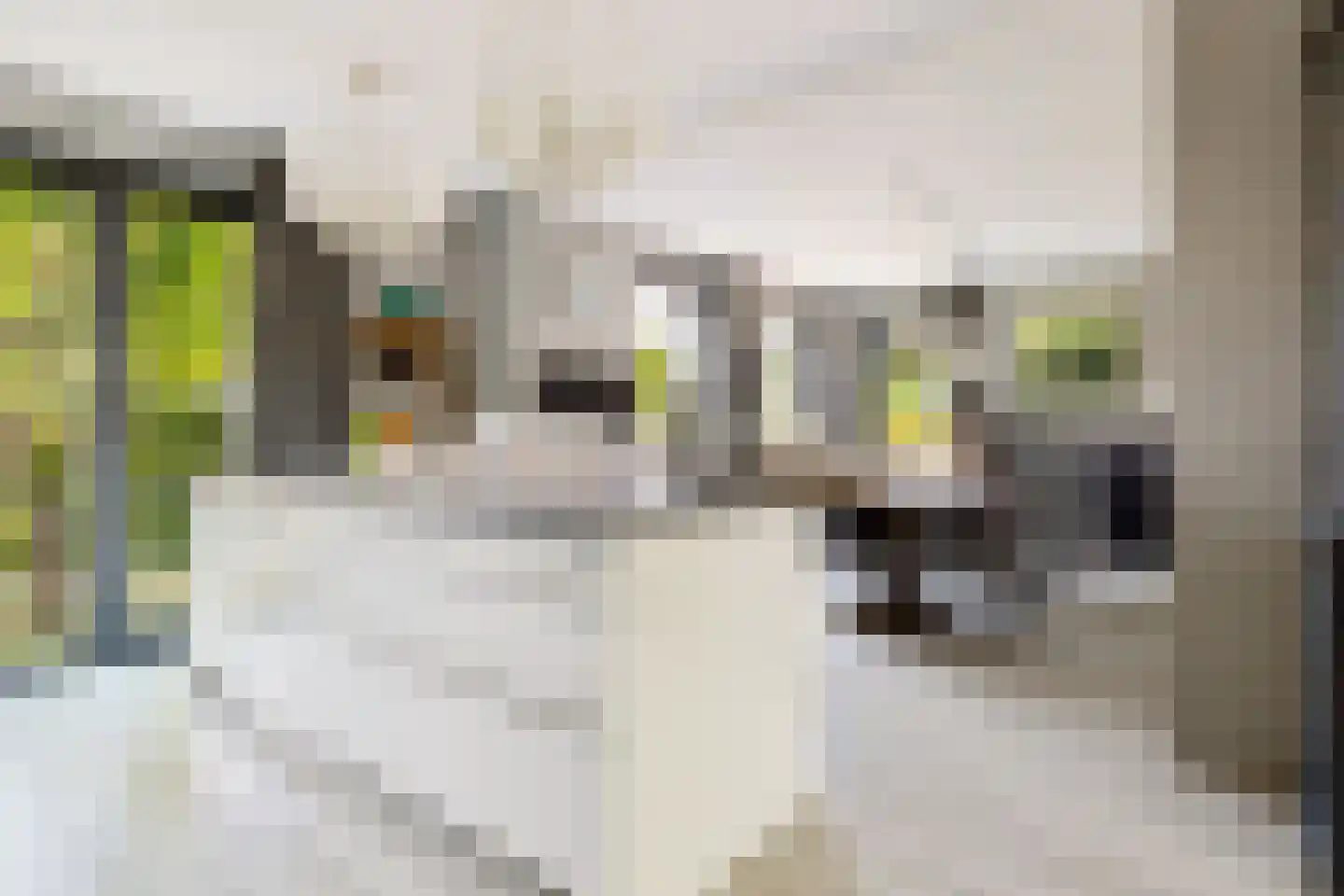 Elementen 68 Zeewolde thumbnail 26