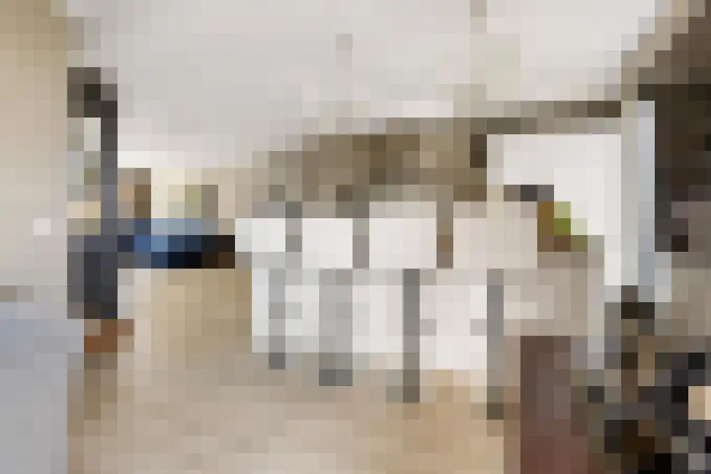 Elementen 68 Zeewolde thumbnail 28