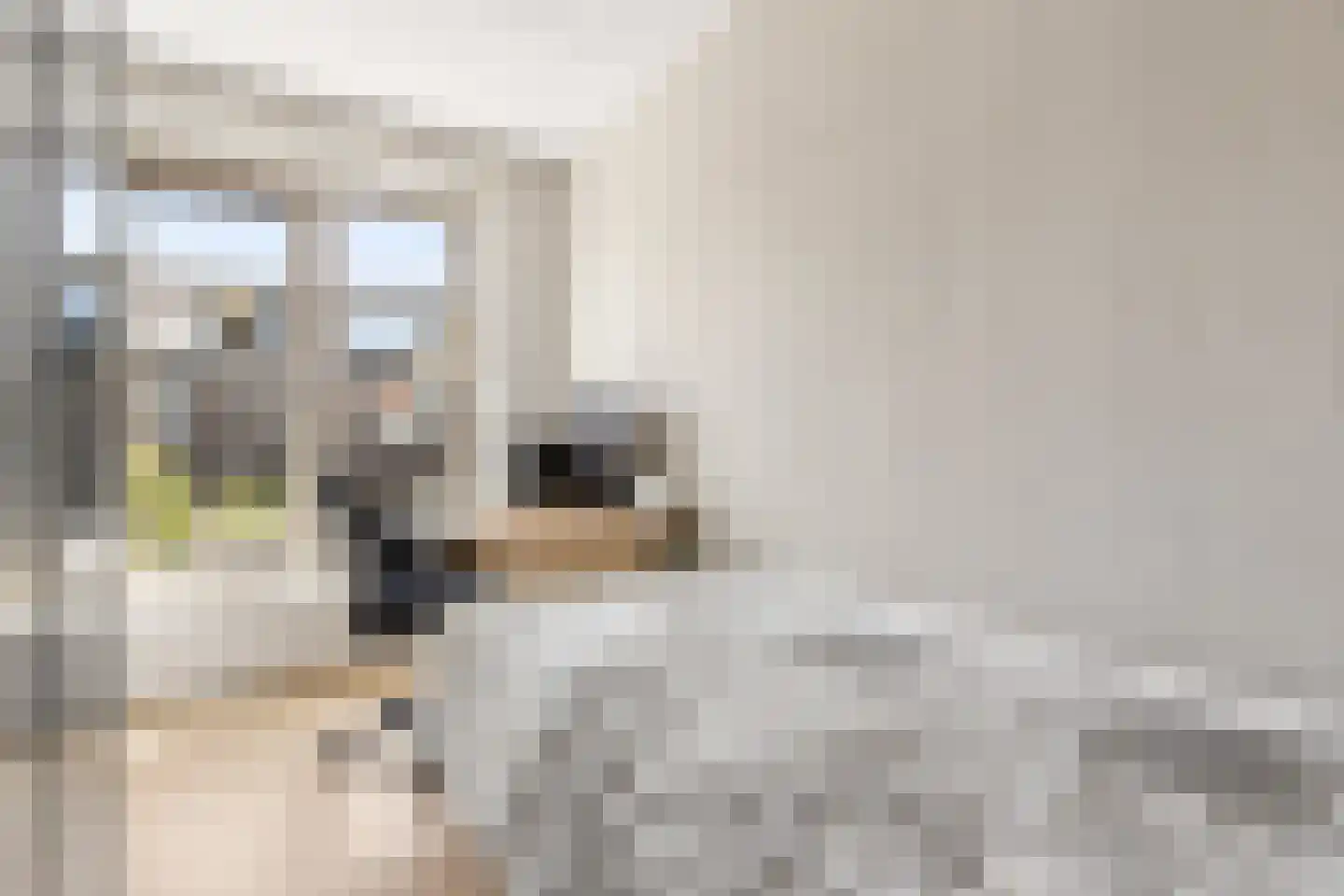 Elementen 68 Zeewolde thumbnail 35