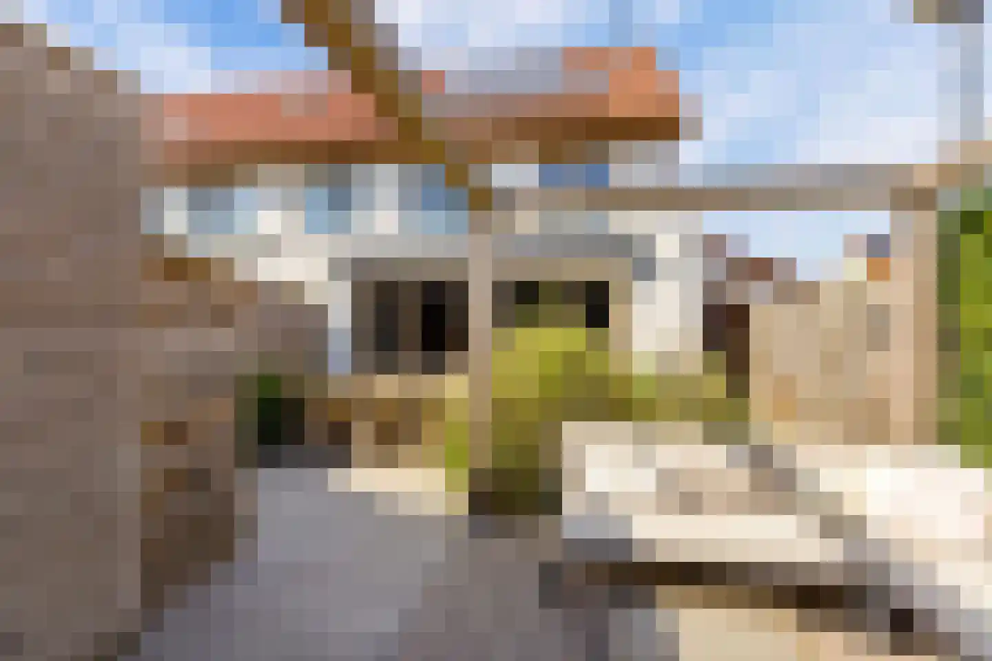 Elementen 68 Zeewolde thumbnail 5