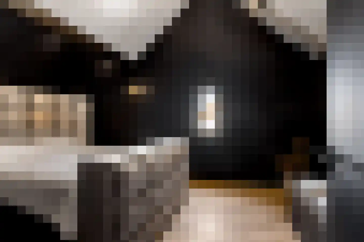 Elementen 68 Zeewolde thumbnail 50