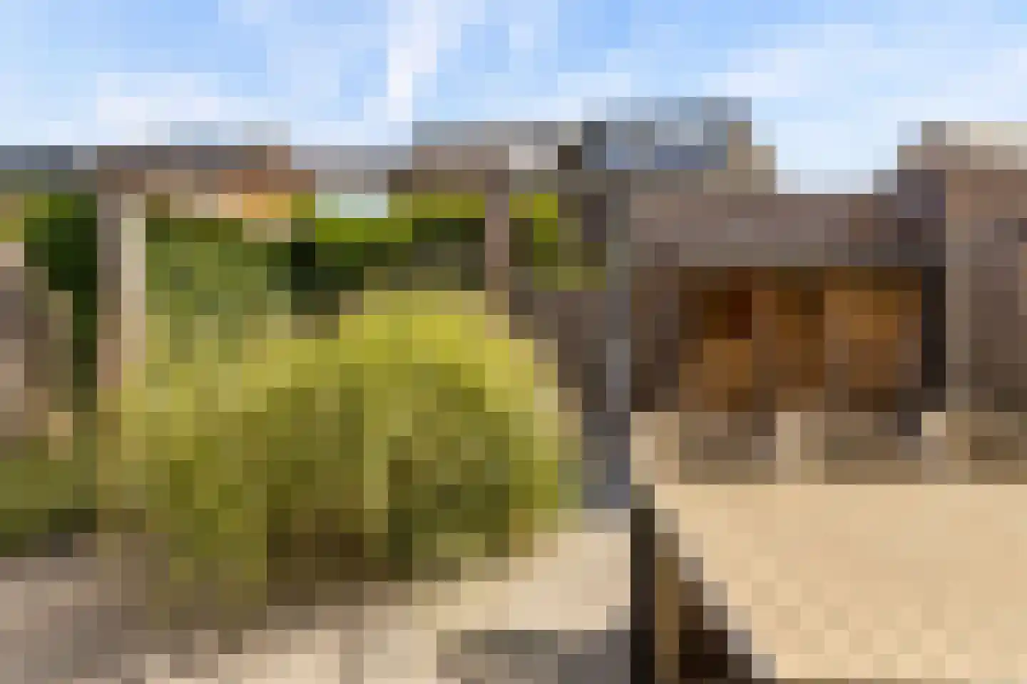 Elementen 68 Zeewolde thumbnail 56