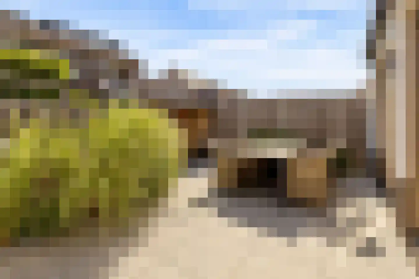 Elementen 68 Zeewolde thumbnail 59