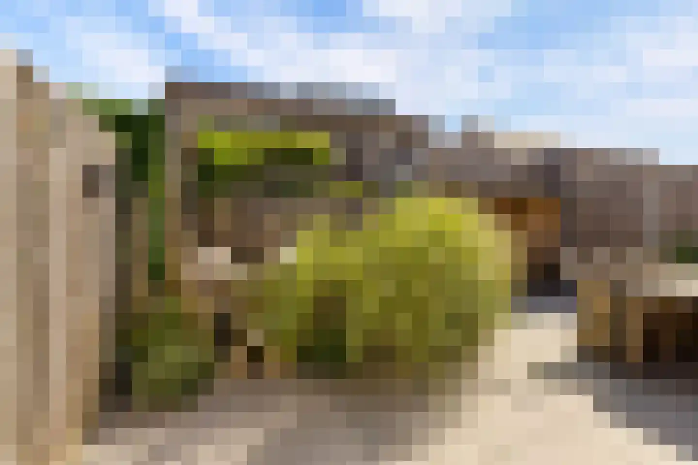 Elementen 68 Zeewolde thumbnail 61