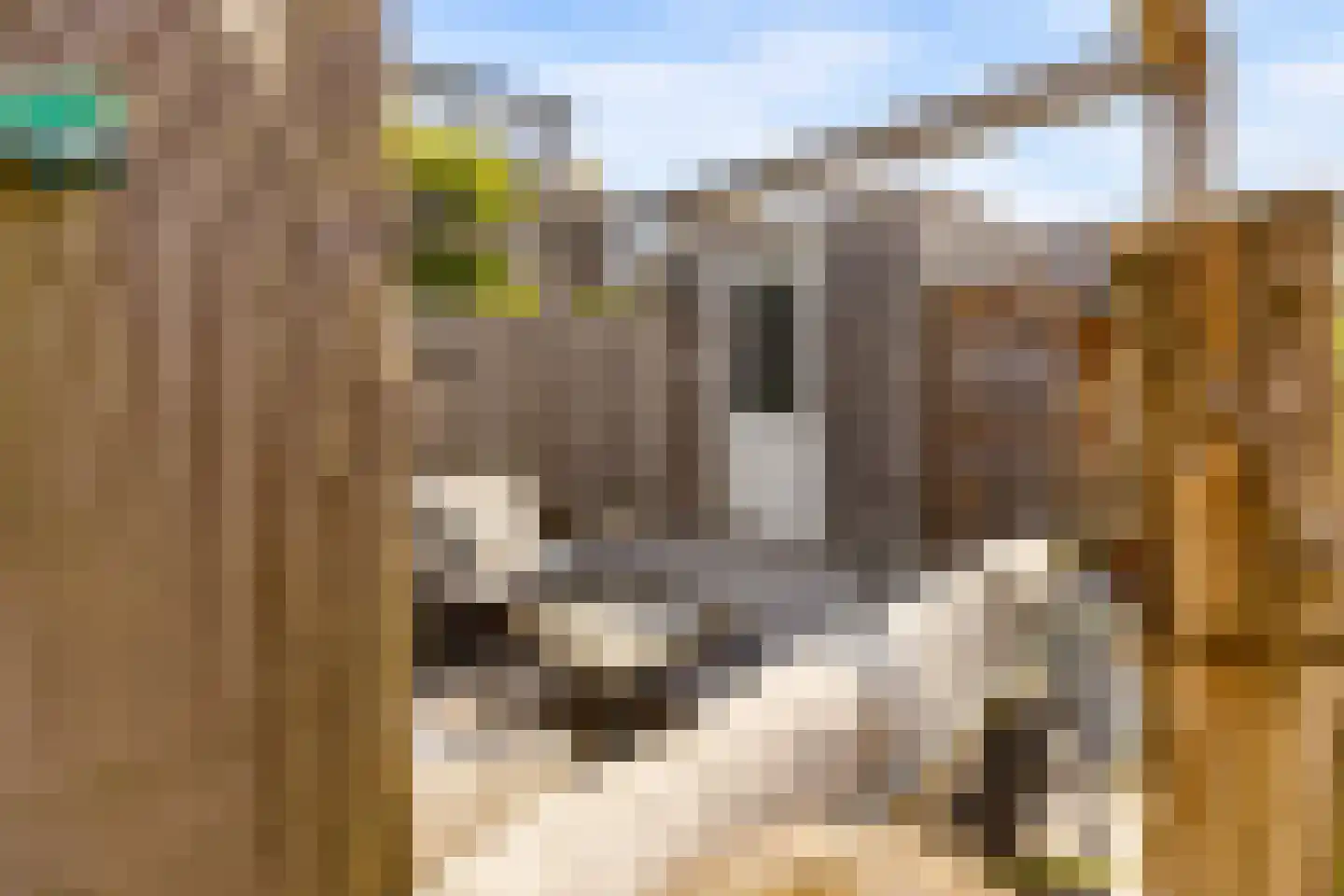Elementen 68 Zeewolde thumbnail 63