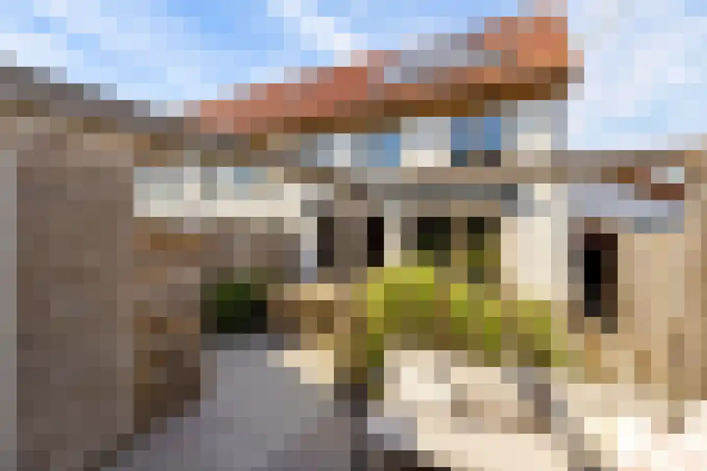 Elementen 68 Zeewolde thumbnail 64