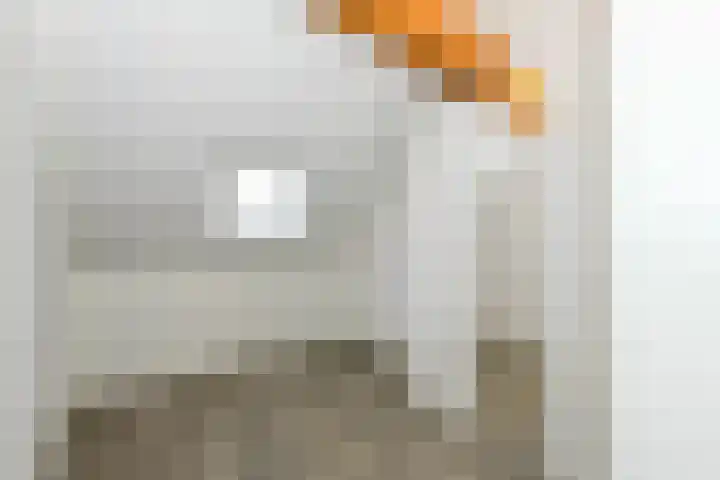 Elementen 72 Zeewolde thumbnail 23