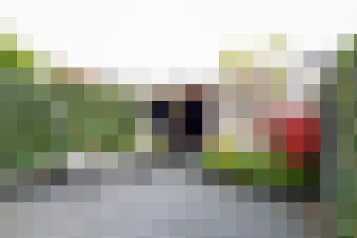 Elementen 72 Zeewolde thumbnail 29