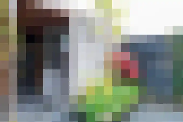 Elementen 72 Zeewolde thumbnail 30