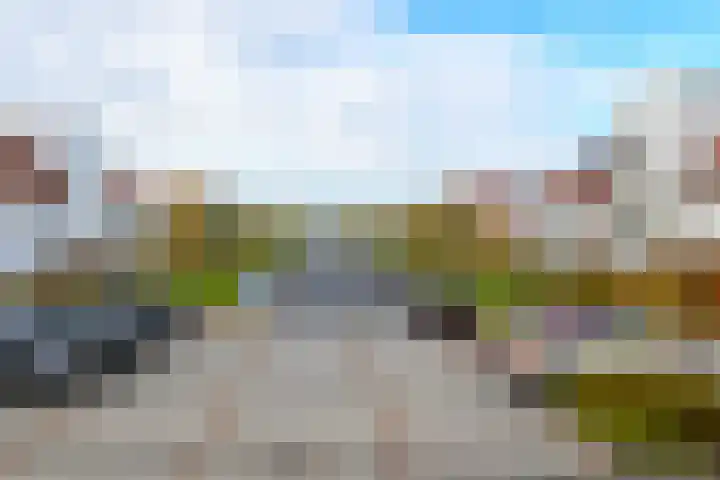 Elementen 72 Zeewolde thumbnail 38