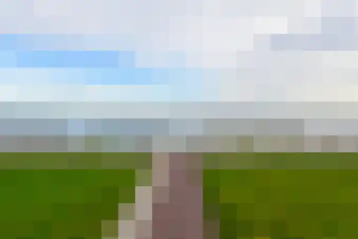 Elementen 72 Zeewolde thumbnail 40