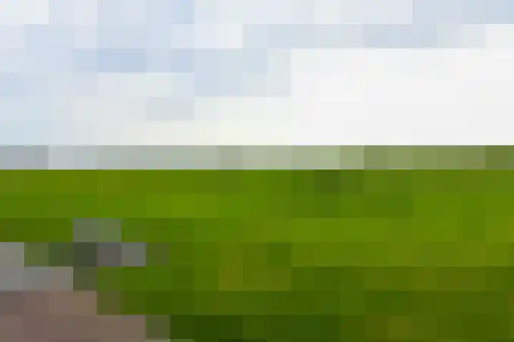 Elementen 72 Zeewolde thumbnail 41