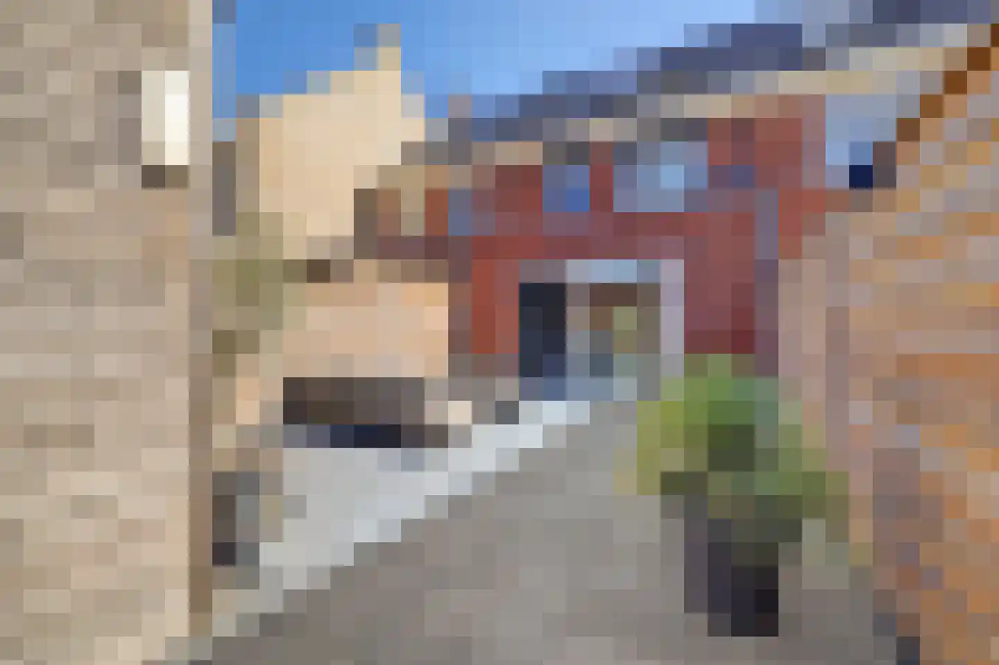 Elementenweg 36 Spijkenisse thumbnail 10