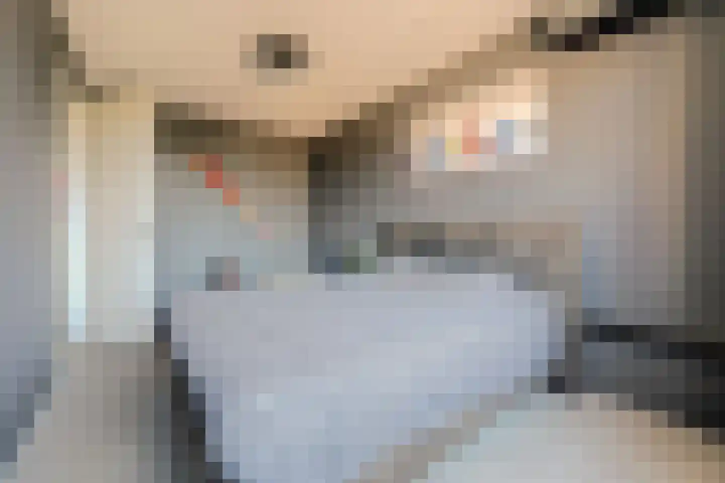 Elementenweg 36 Spijkenisse thumbnail 23