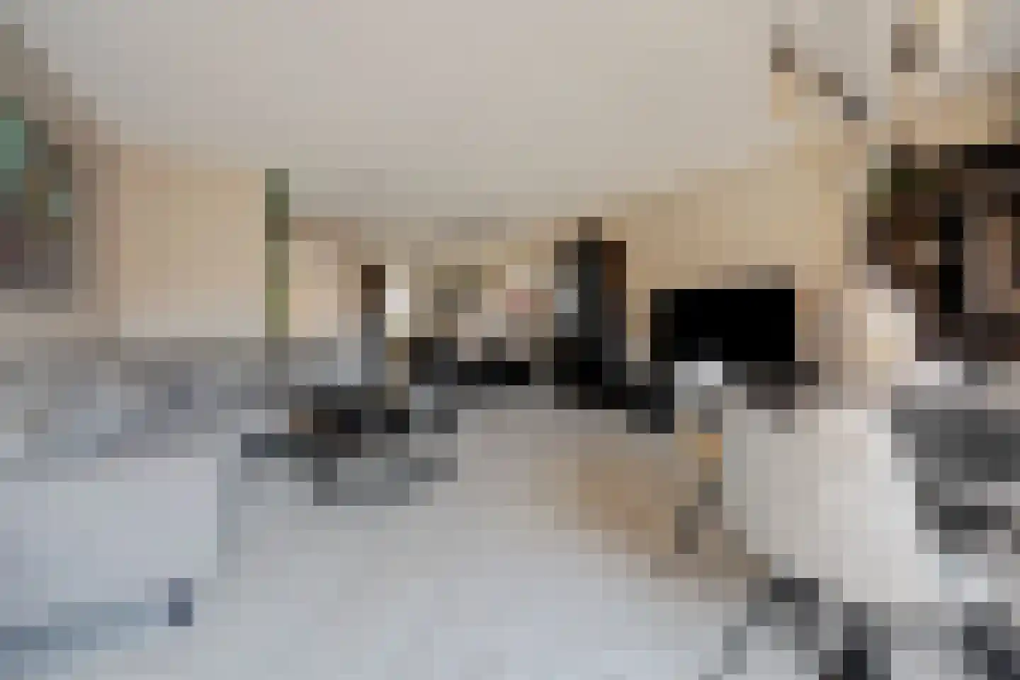 Elementenweg 36 Spijkenisse thumbnail 8