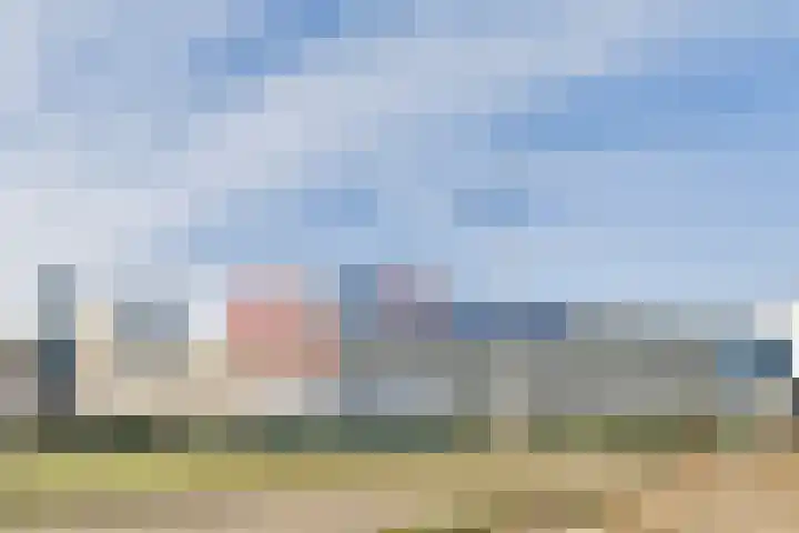 Elementenweg 66 Spijkenisse thumbnail 44