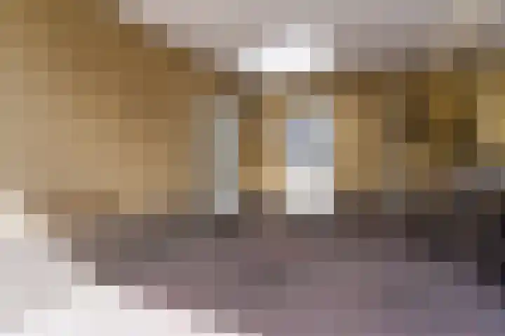 Elendil 16 Geldrop foto 2
